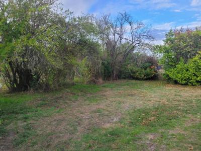 Vente Terrain LANTON 33138