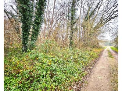 Vente Terrain SAINT-GEORGES-MOTEL 27710