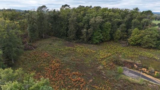 Vente Terrain PAYRIGNAC 46300