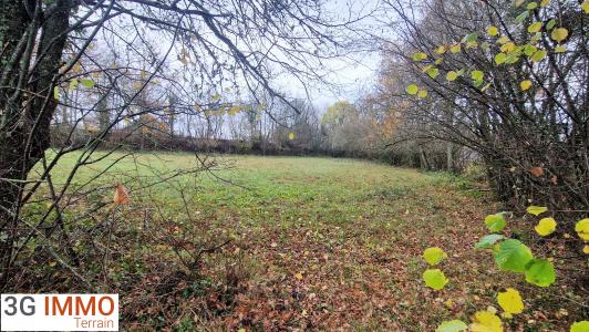 Vente Terrain CHAPDES-BEAUFORT 63230