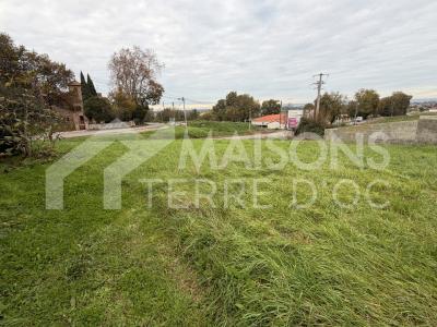 Vente Terrain MERVILLE 31330
