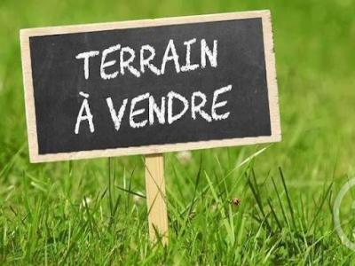 Vente Terrain SAINTE-FOY 85150