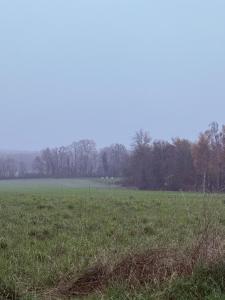 Vente Terrain CHAMERY 51500