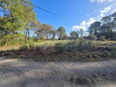 Vente Terrain FIGANIERES 83830