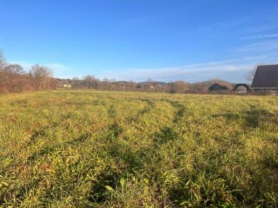 Vente Terrain URDES 64370