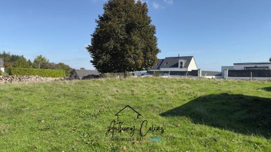 Vente Terrain MARZAN 56130
