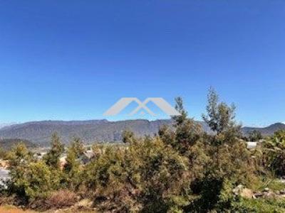 Vente Terrain PLAINE-DES-CAFRES 97418