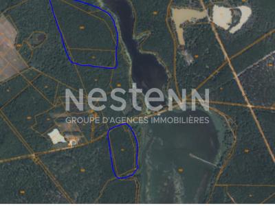 Vente Domaine forestier FONTAINES-EN-SOLOGNE 41250