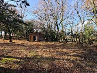 Vente Terrain CRUVIERS-LASCOURS 30360