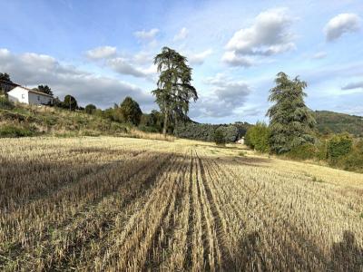 Vente Terrain BOURG-ARGENTAL 42220