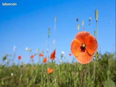 Vente Terrain CARCANS 33121