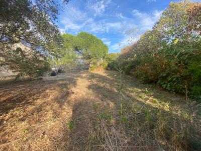 Vente Terrain MUY 83490
