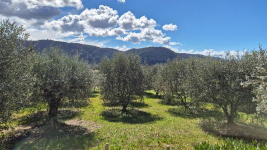 Vente Terrain ORAISON 04700