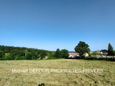 Vente Terrain RAUCOULES 43290