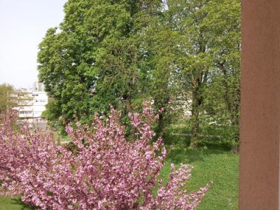 Location Appartement 2 pi�ces AUTUN 71400