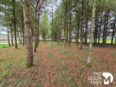 Vente Terrain BIESLES 52340