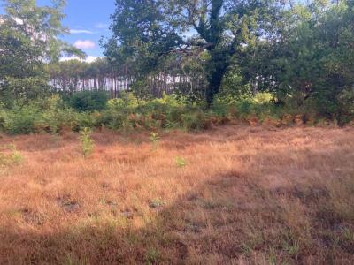 Vente Terrain SALLES 33770