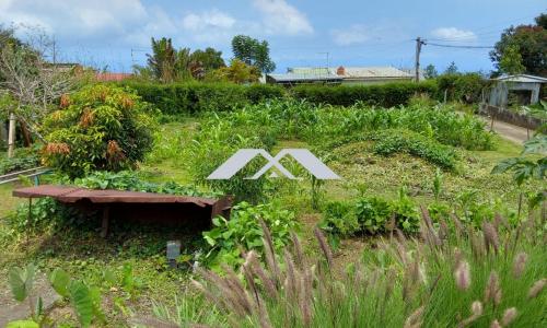 Vente Terrain CHALOUPE 97416