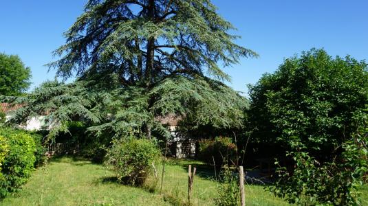 Vente Maison 4 pi�ces CASTELNAU-MONTRATIER 46170