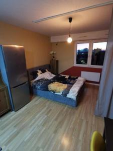 Location Appartement ILLZACH 68110