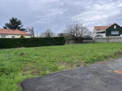 Vente Terrain SAINT-PIERRE-MONTLIMART 49110