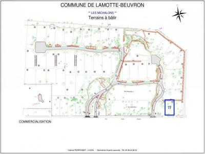 Vente Terrain LAMOTTE-BEUVRON 41600