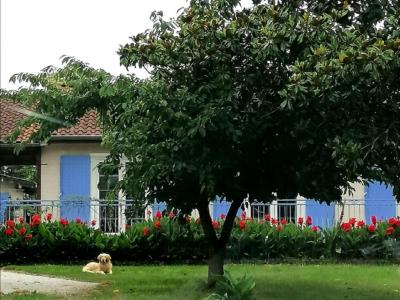 Viager Maison 4 pi�ces LOUPIAC 81800