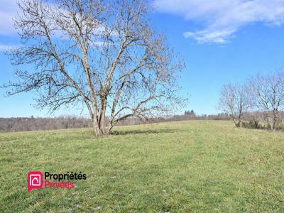 Vente Terrain CHAPDES-BEAUFORT 63230