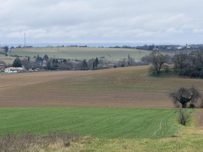 Vente Terrain CAGNAC-LES-MINES 81130