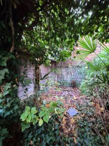 Vente Appartement 3 pi�ces SAINT-MAURICE 94410