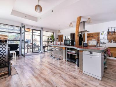Vente Maison 12 pi�ces ABRETS 38490
