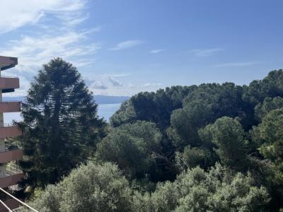 Location Appartement AJACCIO 20000