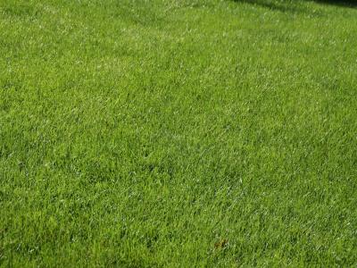 Vente Terrain POMPIGNAC 33370