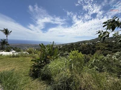 Vente Terrain ETANG-SALE 97427