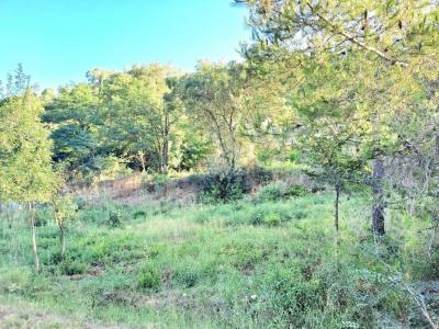 Vente Terrain VINS-SUR-CARAMY 83170