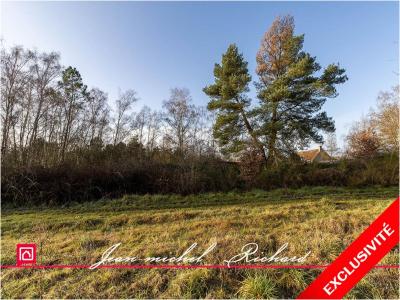 Vente Terrain BILLY 41130