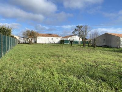 Vente Terrain JARD-SUR-MER 85520