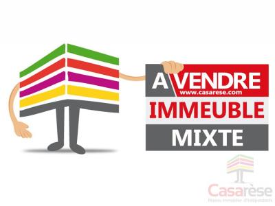 Vente Immeuble CHAINGY 45380
