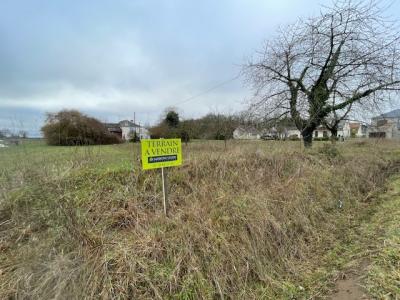Vente Terrain SAINT-DENIS-EN-VAL 45560