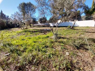 Vente Terrain DRAGUIGNAN 83300