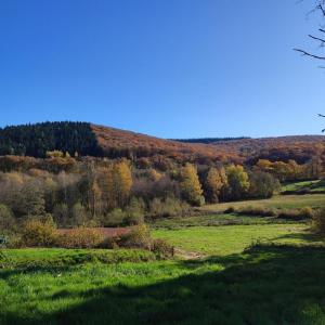 Vente Maison 2 pi�ces MARIGNY-L'EGLISE 58140