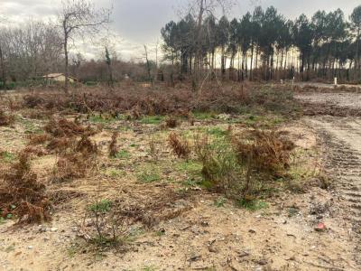 Vente Terrain BISCARROSSE 40600