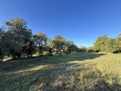 Vente Terrain SAINT-BENEZET 30350