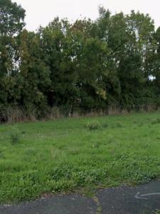 Vente Terrain SAINT-XANDRE 17138