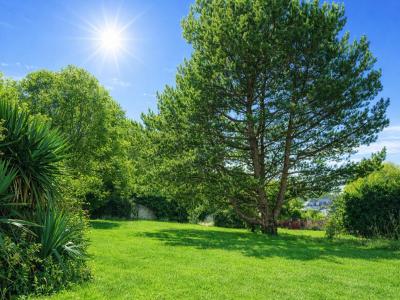 Vente Terrain SAINT-VALERY-SUR-SOMME 80230