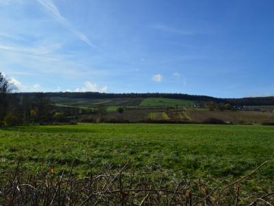 Vente Maison 5 pi�ces BUXY 71390