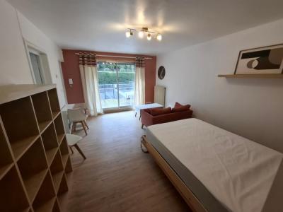 Location Appartement SAINT-ETIENNE 42100