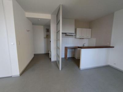 Location Appartement 3 pi�ces MOLIERES 82220