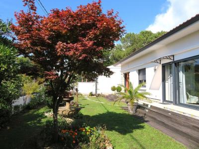 Vente Prestige ANDERNOS-LES-BAINS 33510
