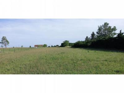 Vente Terrain CERBOIS 18120
